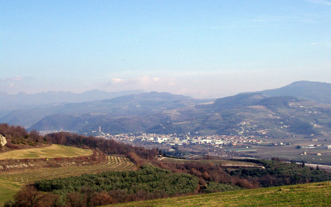 Tregnago: Il Consiglio accoglie solo parzialmente le proposte di riduzione delle imposte locali per le aziende.