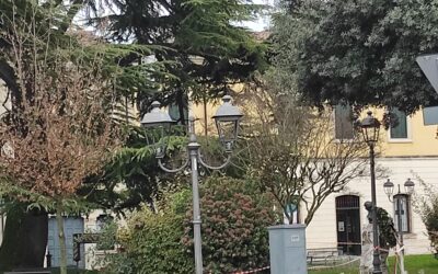 San Martino B.A.: inizia l’allestimento dell’albero di Natale